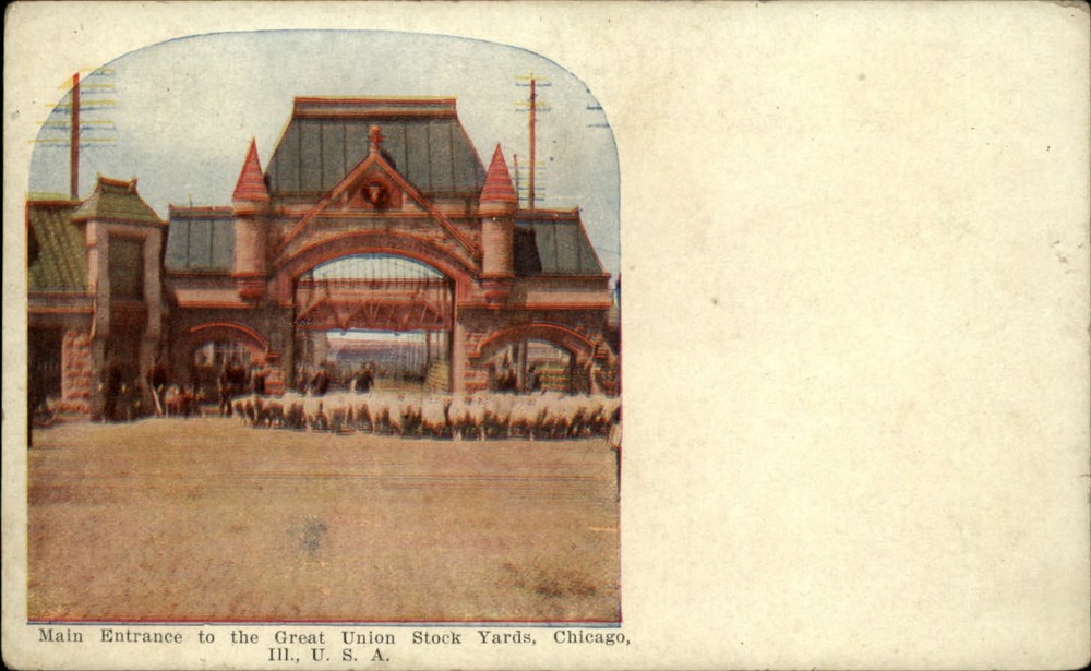 Main Entrance Great Union Stock Yards Chicago Illinois vintage postcard t996