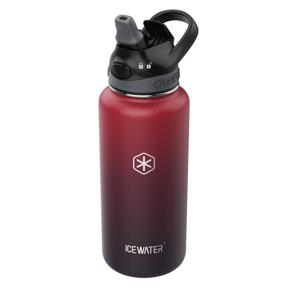 32 oz Insulated Leakproof Water Bottle with Straw and Carry Handle