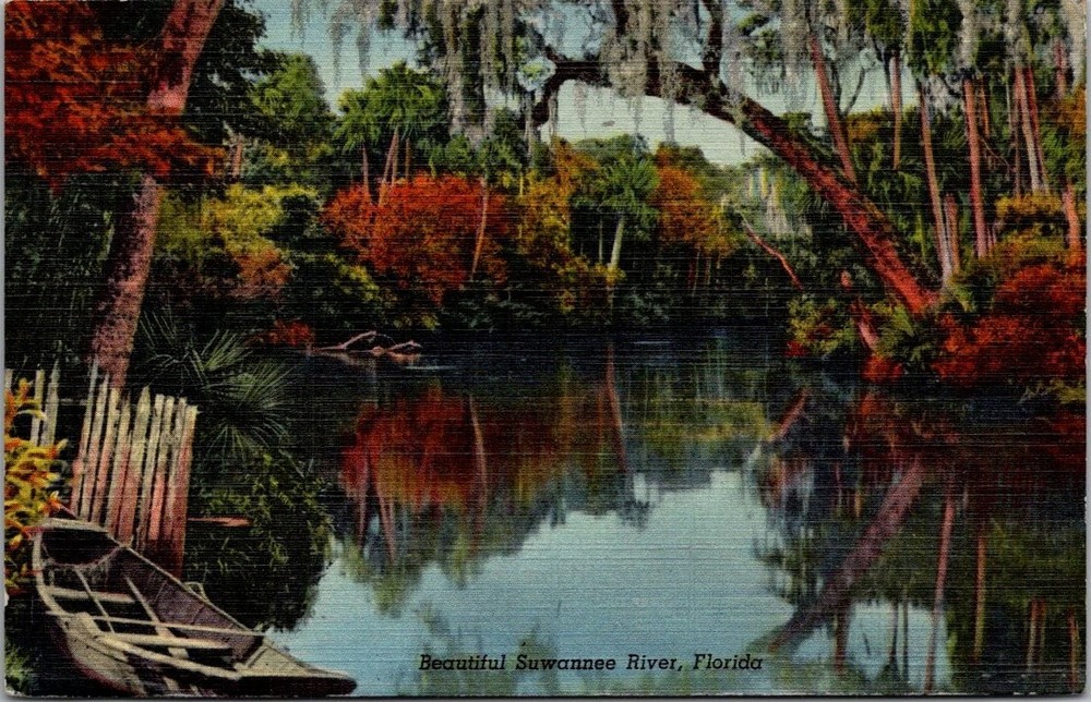 Beautiful Suwannee River Florida 1940 Postcard Curteich CT Art-Colortone Linen