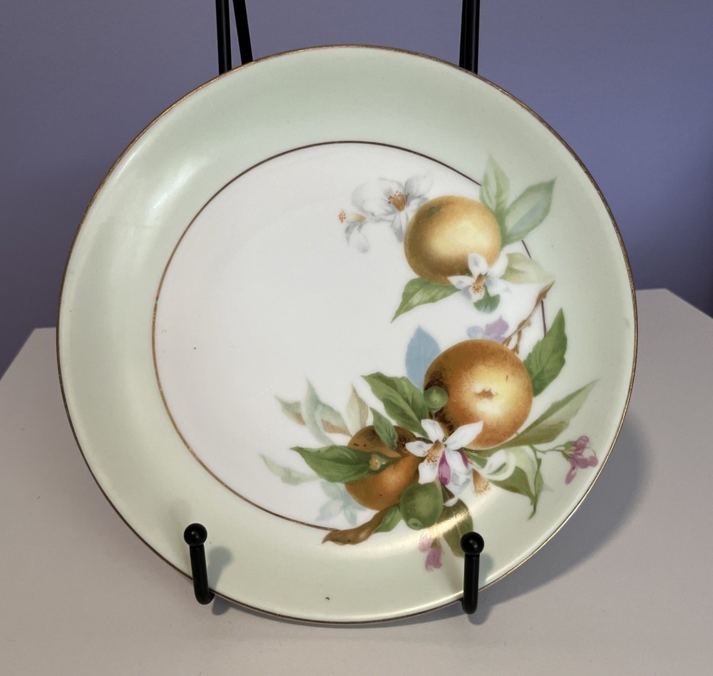Vintage Hutschenreuther Selb Orange & Orange Blossom Salad Plate Bavaria 8.25”