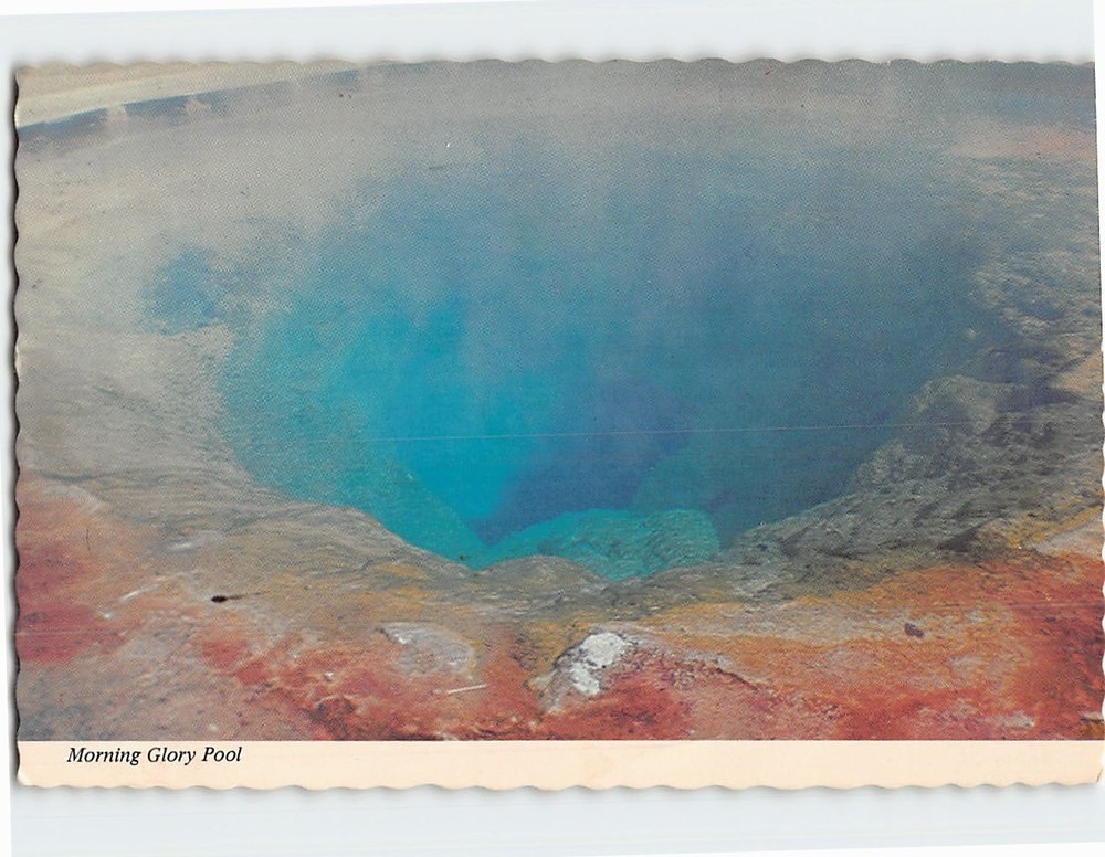 Postcard Morning Glory Pool Yellowstone National Park Wyoming USA
