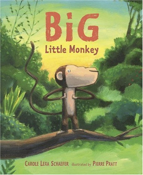 Big Little Monkey Hardcover Carole Lexa SchaeferFree US Delivery | ISBN:0763620068