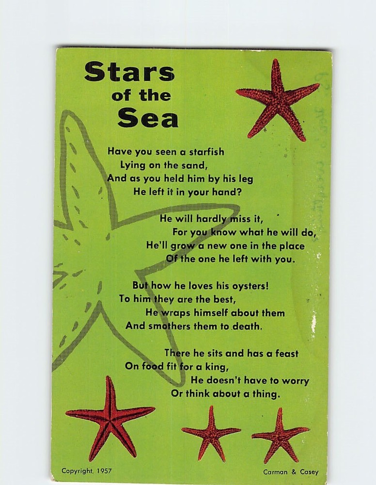 Postcard Stars of the Sea (Sea Stars or Starfish)