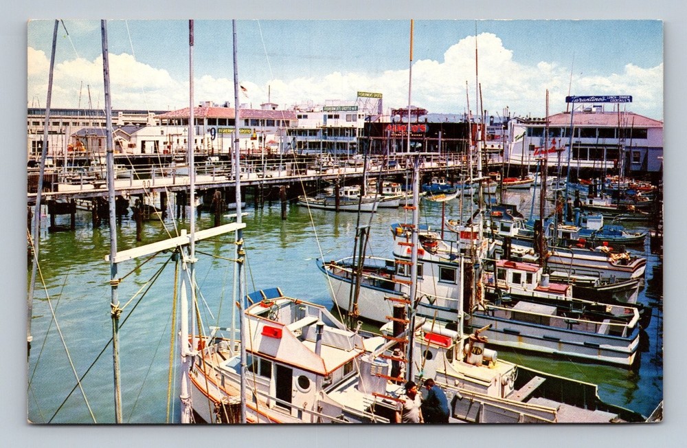 Vintage Fisherman's Wharf San Francisco Color Postcard 1962 Harbor View