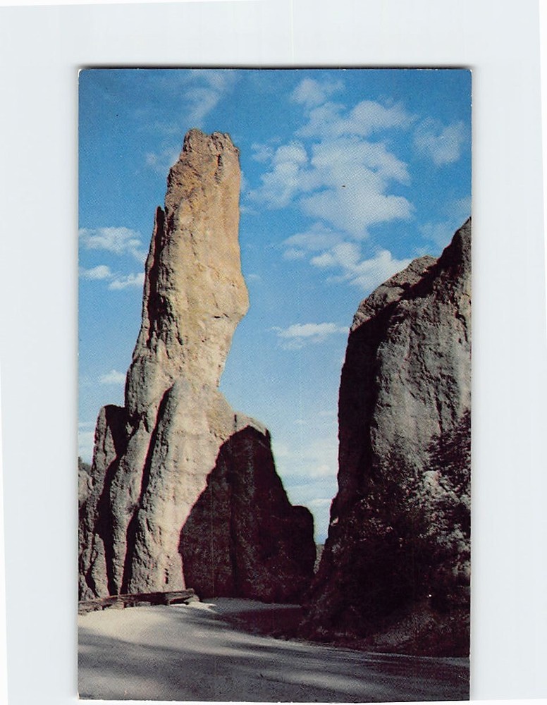 Postcard Cathedral Spires Needles Drive Black Hills of South Dakota USA