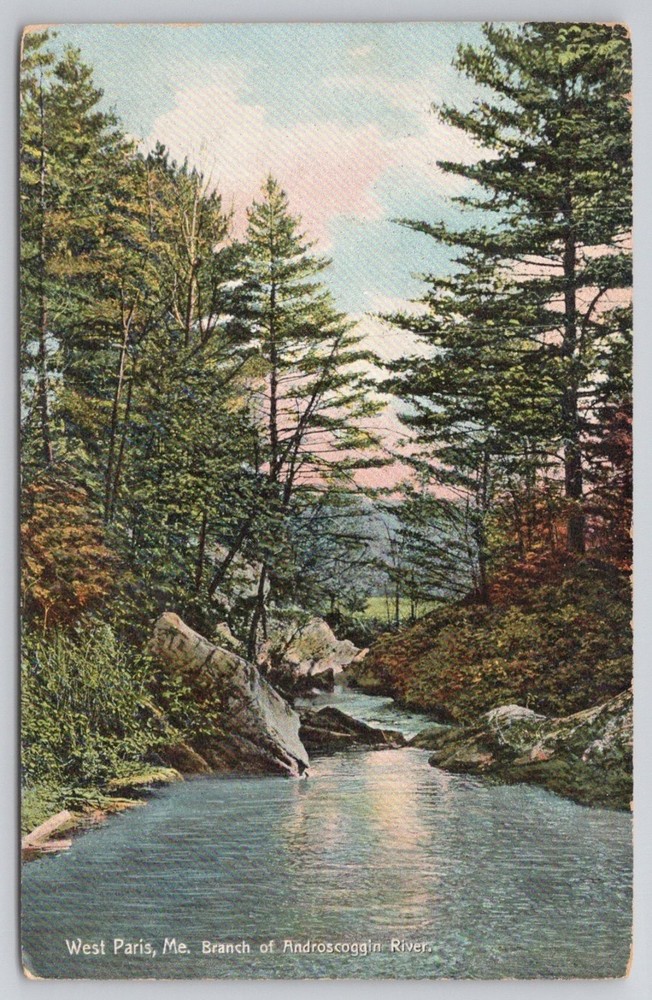 West Paris ME Androscoggin River Scenic Postcard Hugh C Leighton c1910 Maine