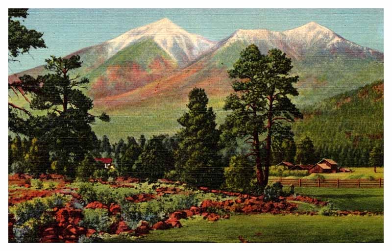 Postcard MOUNTAIN SCENE Flagstaff Arizona AZ m/09 AP2479