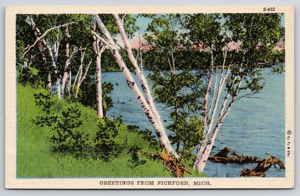 Greetings From Pickford Michigan~Birch Trees On Lake Shore~Vintage Linen PC