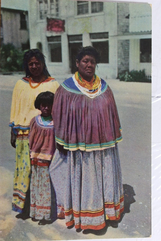 Florida FL Seminole Indians Postcard Old Vintage Card View Standard Souvenir PC