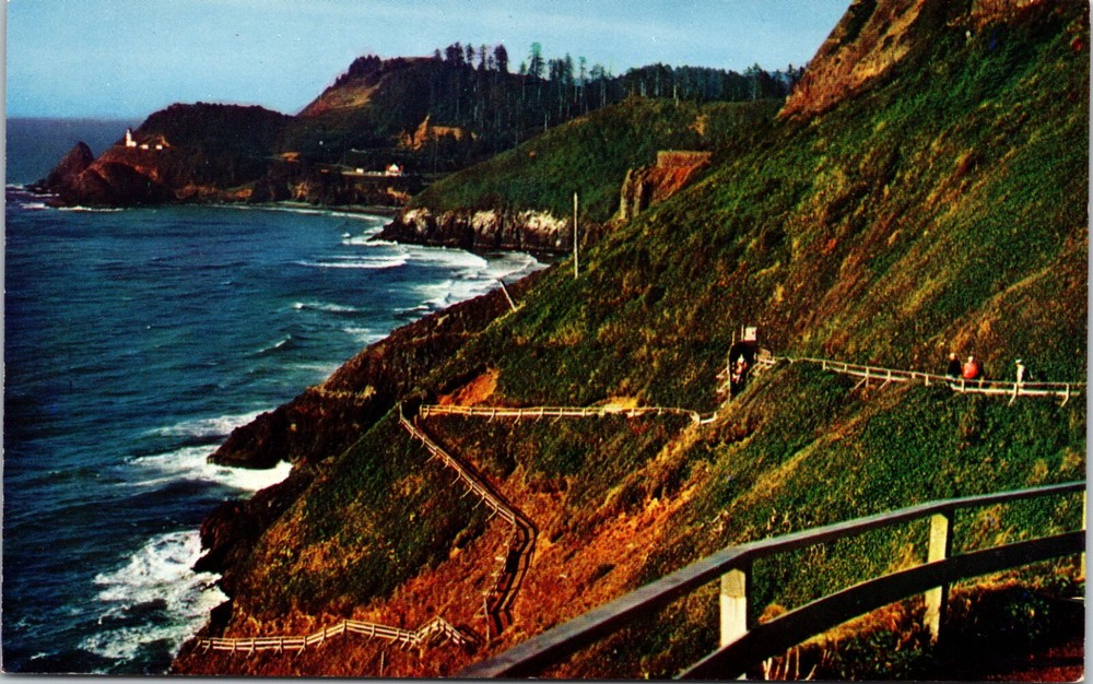 View of Trail to Sea Lion Caves Heceta Head Lighthouse Oregon Vintage Postcard