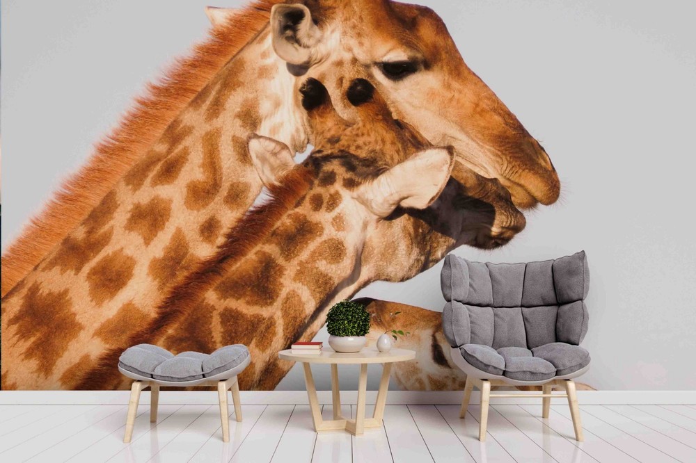 3D Giraffe Animal Close-up Wall Murals Wallpaper Murals Wall Sticker 2