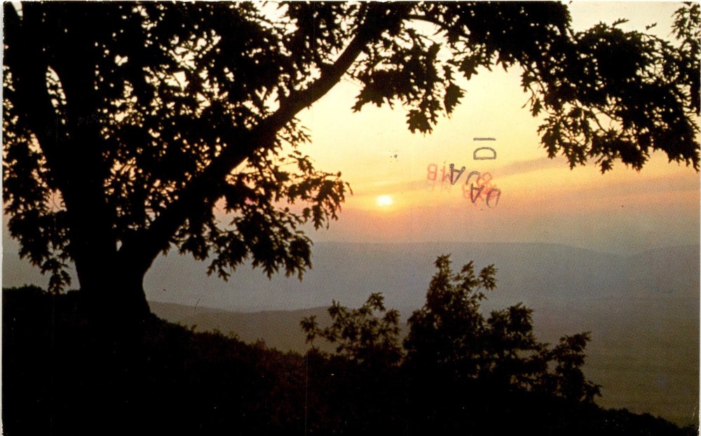 Big Meadows Lodge Terrace, Skyline Drive, Shenandoah National Park, Postcard