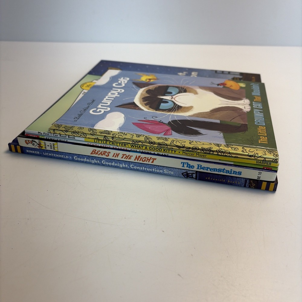 Childrens Books Lot Grumpy Cat Berenstain Bears Goodnight Construction Site