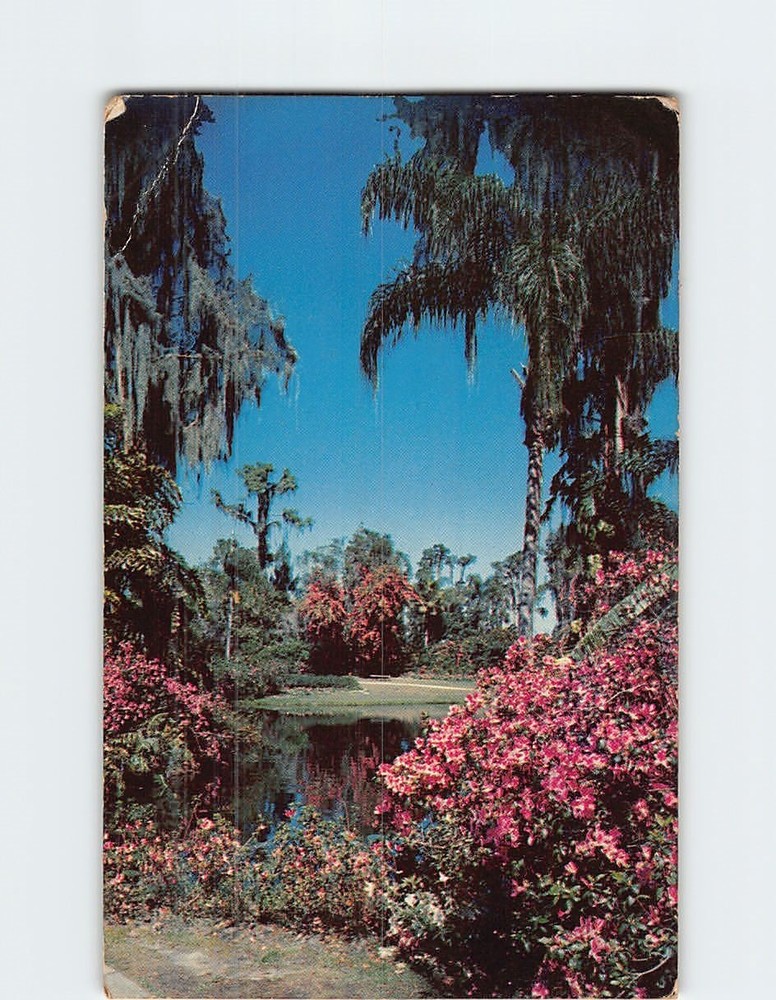 Postcard Scene at Cypress Gardens Florida USA