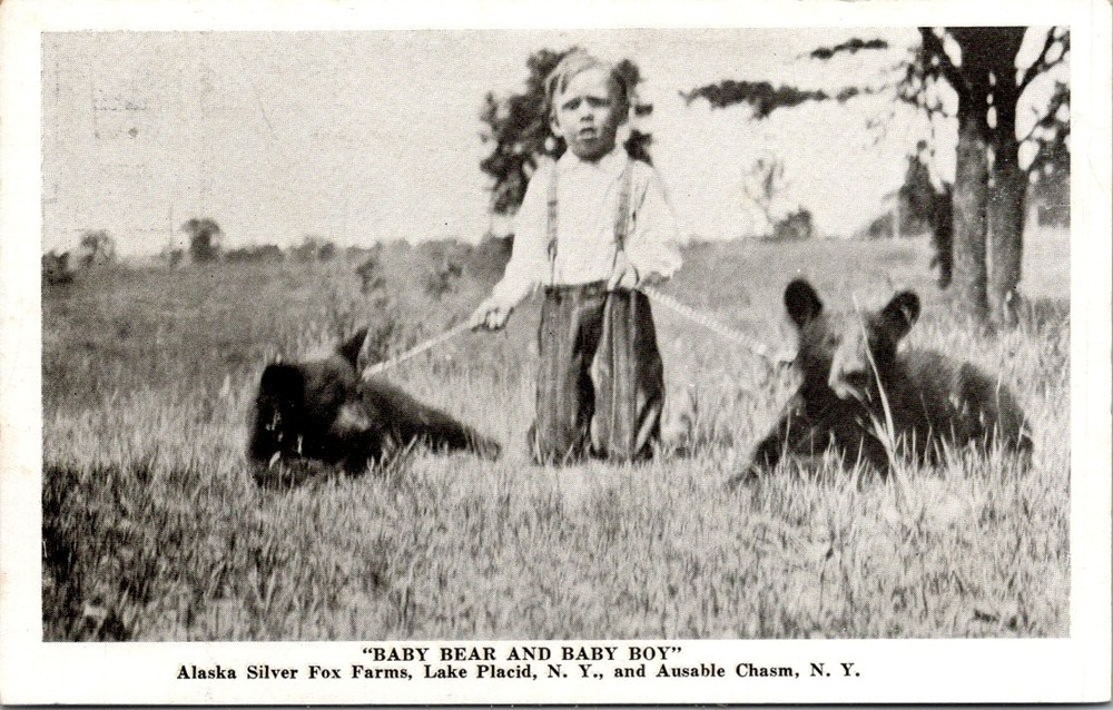 RPPC Baby Bear & Boy Alaska Silver Fox Farms Lake Placid NY Ausable Chasm