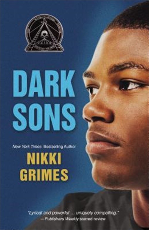 Dark Sons (Paperback or Softback)