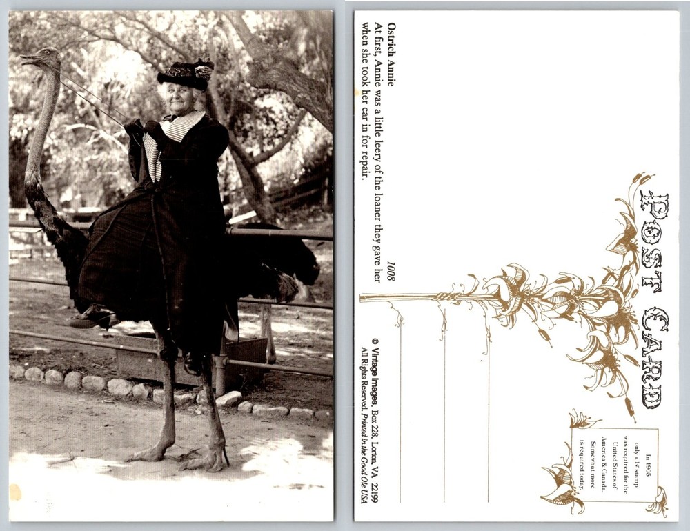 Ostrich Annie Riding Ostrich Vintage Humorous Postcard