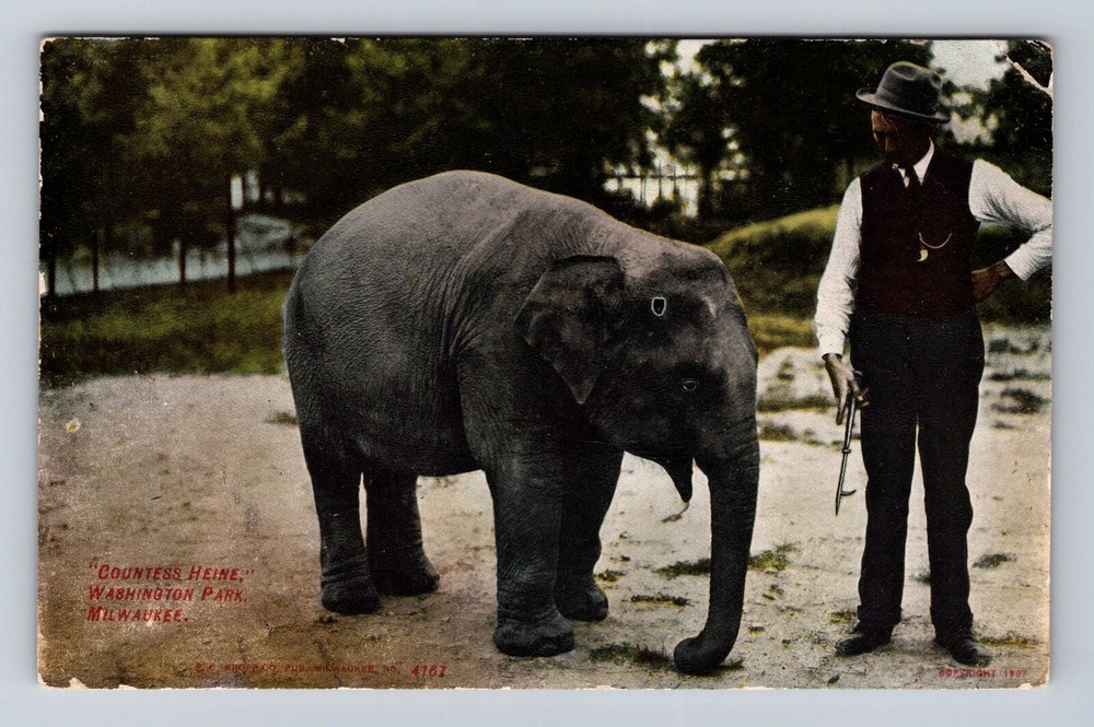 Milwaukee WI-Wisconsin, Washington Park Countess Heine Elephant Vintage Postcard