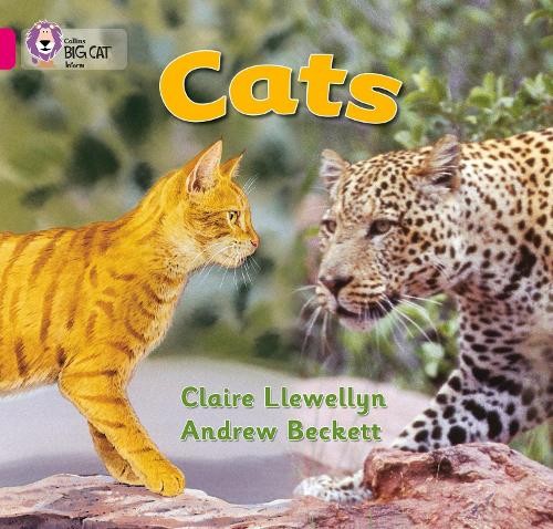 Claire Llewellyn Cats (Paperback) Collins Big CatAnother great item from Rarewaves USA | Free delivery!
