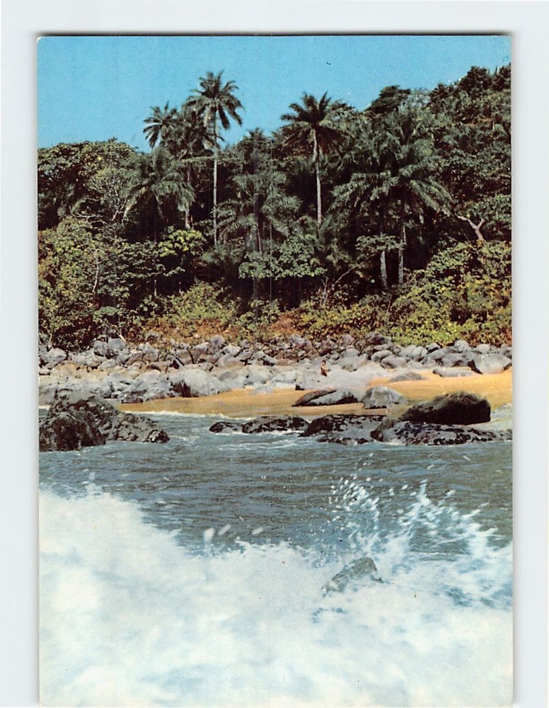 Postcard Beach Nature Scene