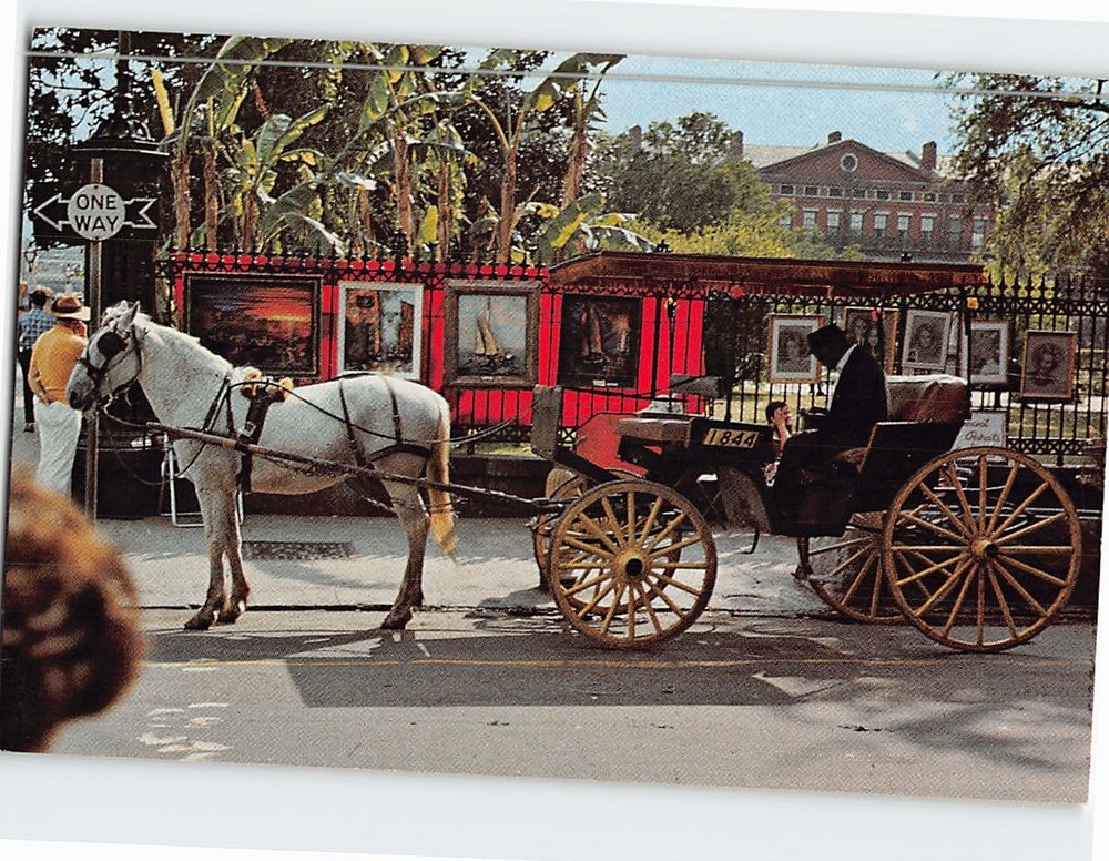 Postcard Sightseeing Carriage French Quarter Louisiana USA