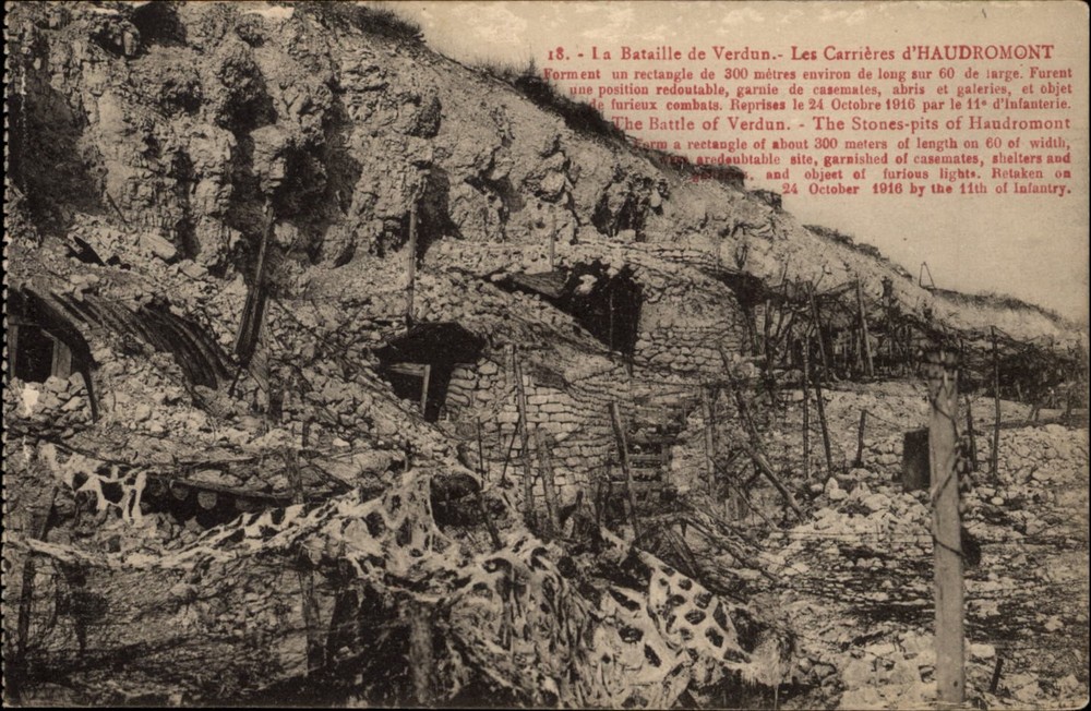The Battle of Verdun Les Carrieres d'Haumont WWI damage vintage postcard m365