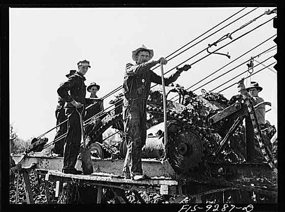 Photo:Arkansas Gurdon 1940s War Emergency Pipeline Workers Ditch Crew