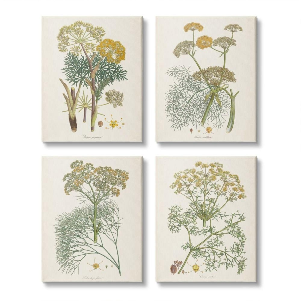 Stupell Vintage Saffron Study with Floral Herbs, 4pc Multi  16 x 20