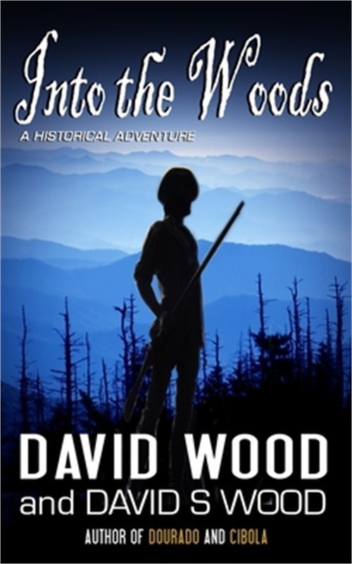 Into the Woods (Paperback or Softback)