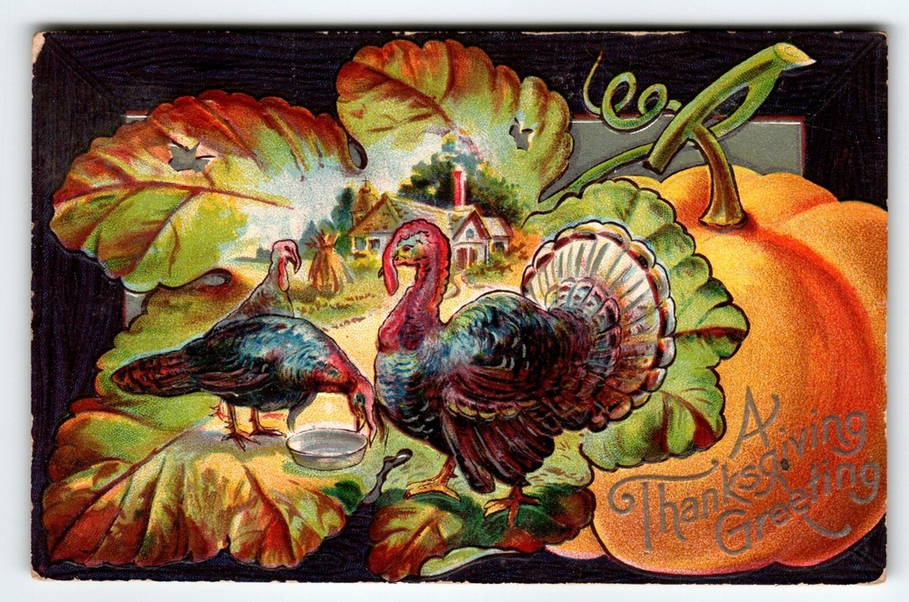 Thanksgiving Greetings Postcard 1909 Embossed Pumpkin Farm Turkeys Vintage