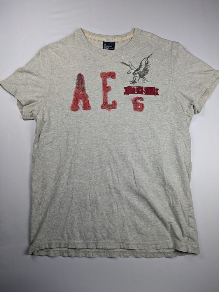 Size Large (19x29)- American Eagle Outfitters Graphic T-Shirt, Athletic Fit