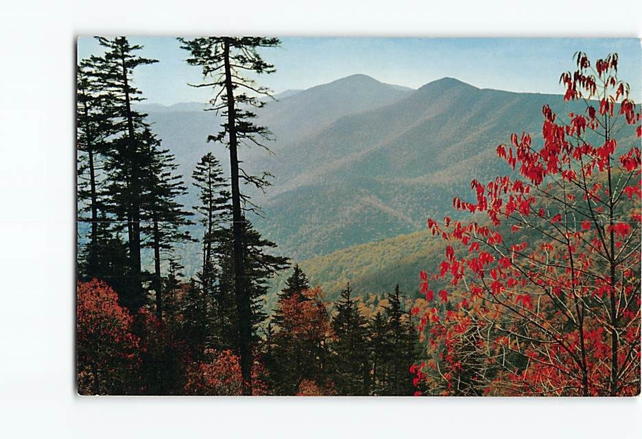 Postcard Craggy Mountains Blue Ridge Parkway North Carolina USA