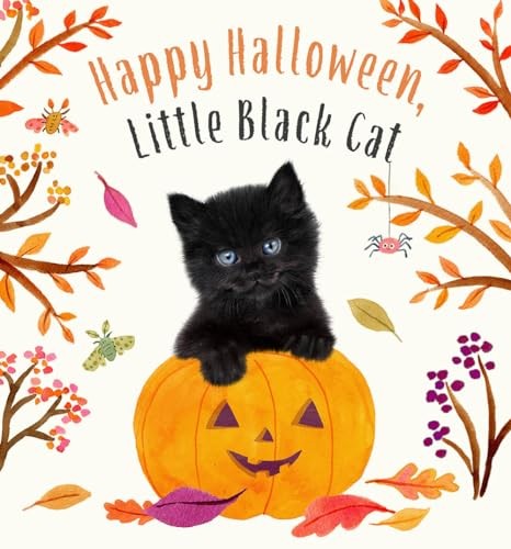 Happy Halloween, Little Black Cat: A Board Book (Baby Animal ... by Wood, AmandaFREE US DELIVERY | ISBN: 1419771191 | Quality Books