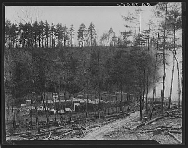 Cumberland Homesteads,Crossville,Tennessee,Farm Security Administration,FSA,4