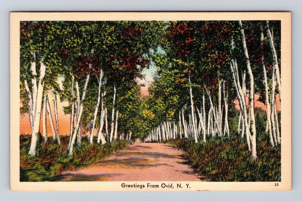 Ovid NY-New York, Scenic Greetings, Roadway, Antique, Vintage Souvenir Postcard