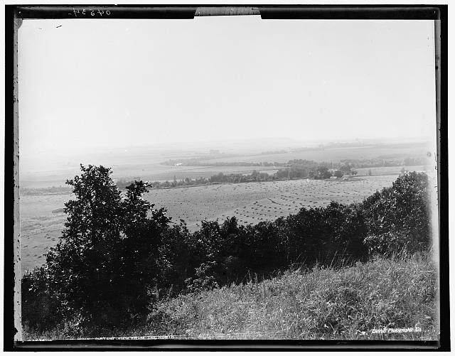 Distant view,north,valleys,trees,New Ulm,MN,Minnesota,Detroit Publishing
