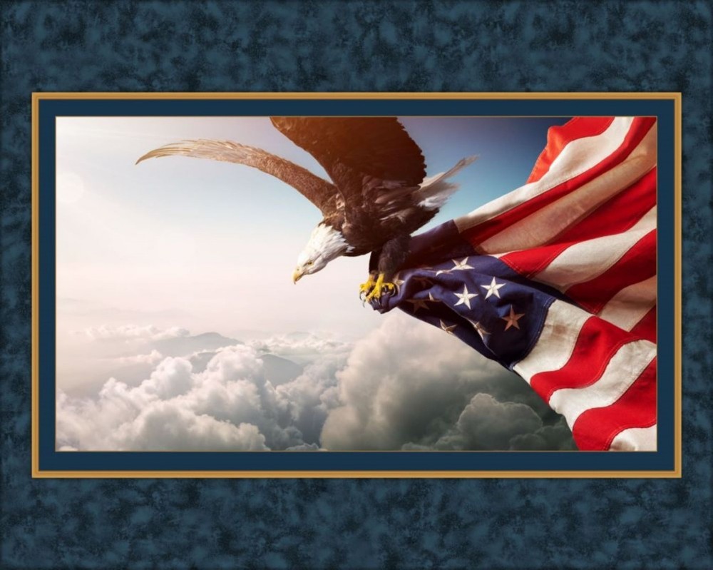 Patriotic Flight of Freedom Flag Eagle Quilt Top Wall Hanging Panel Fabric