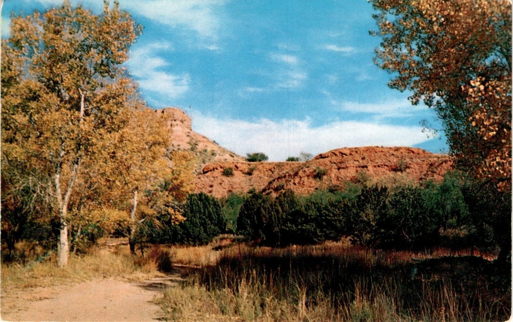 Palo Duro Canyon State Park, Canyon, Texas, Amarillo, Fall colors, 22 Postcard