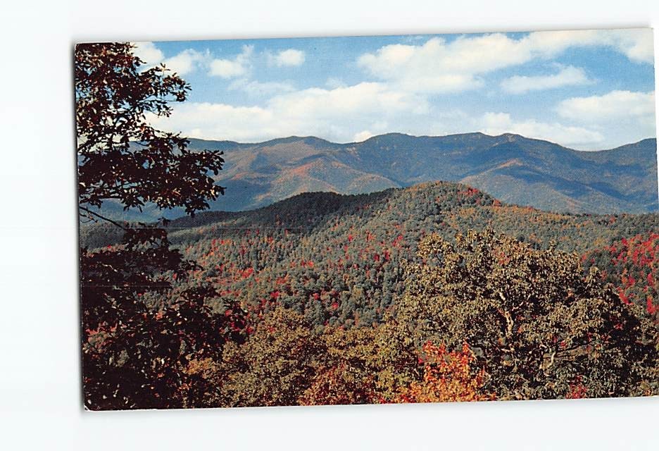 Postcard The Black Mountains Blue Ridge Parkway North Carolina USA