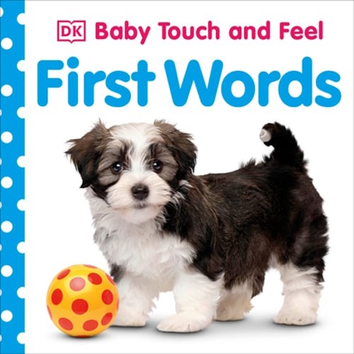 Baby Touch and Feel First Words by DK: Used