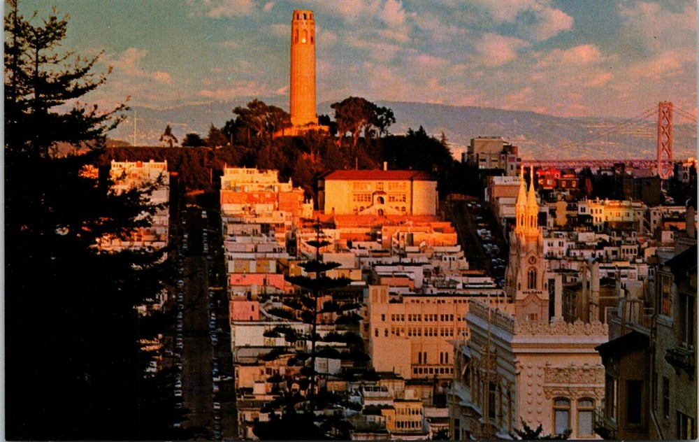 Historic Telegraph Hill and Coit Tower San Francisco California Vintage Postcard