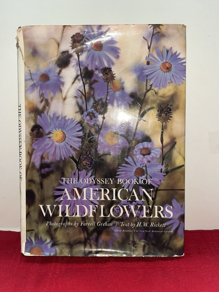 Antique 1964 Hc Dj The Odyssey Book Of American Wildflowers Western Publishing