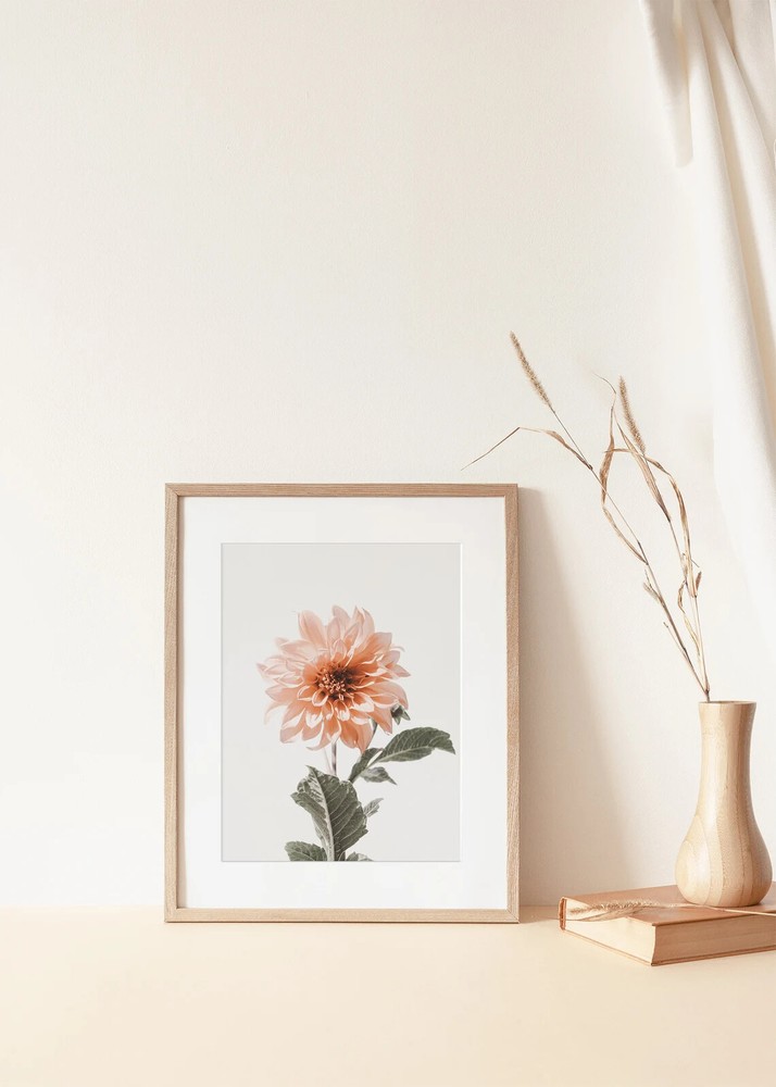 Dahlia Flower Wall Art Poster Premium Quality Choose your Size