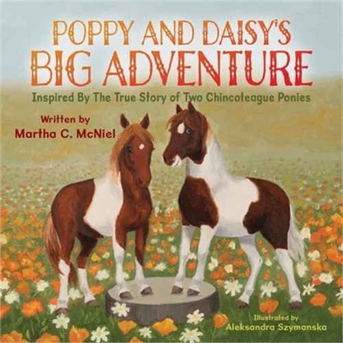 Poppy and Daisy's Big Adventure (Paperback or Softback)