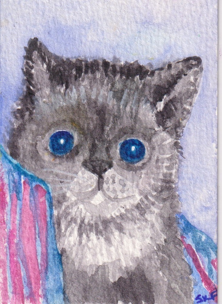 ACEO Original Cat Watercolor Painting - Fluffy Gray Kitten, Sharon Foster OOAK