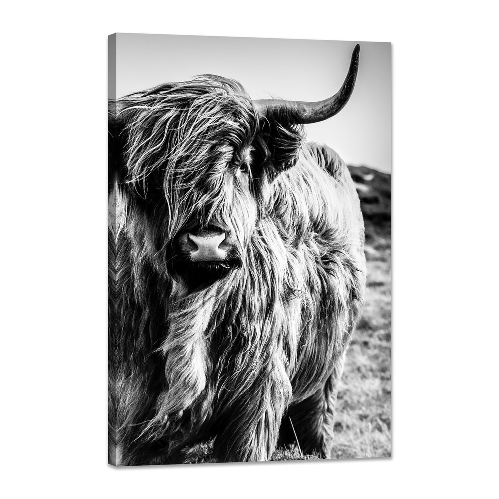 Highland Cow Wall Art Canvas Black and White Cow Picture Prints Framed Artwor...