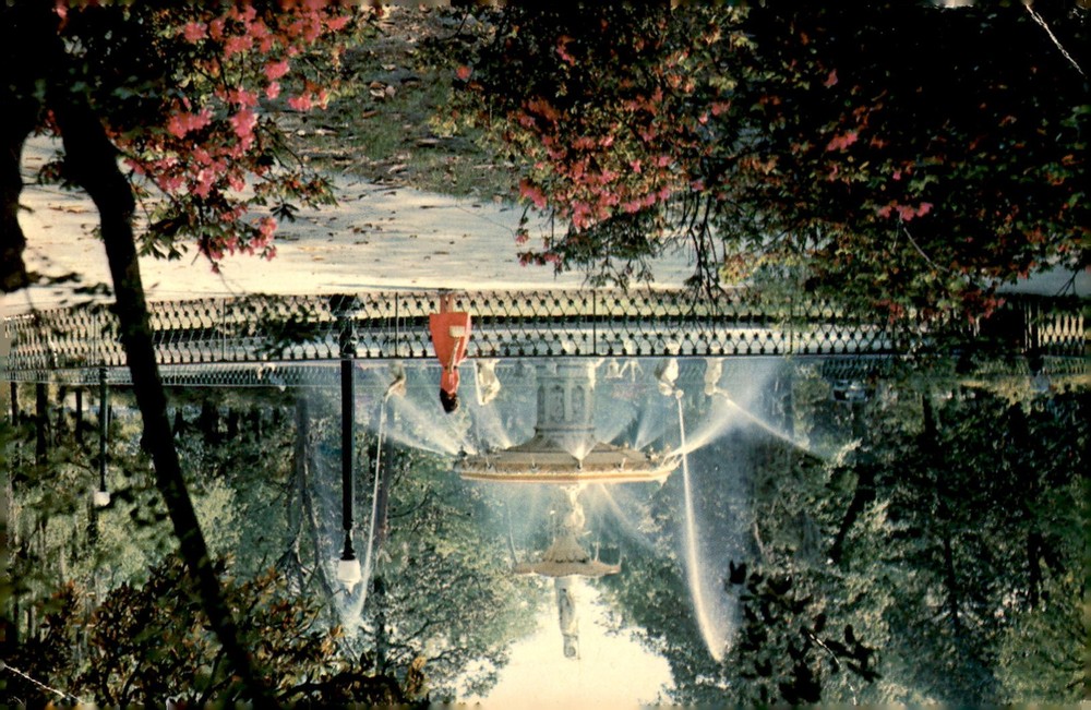 Forsyth Park in Savannah, Georgia during Azalea Season Postcard