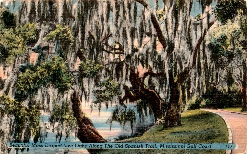Old Spanish Trail, Mississippi Gulf Coast, Seventeenth Century, Postcard