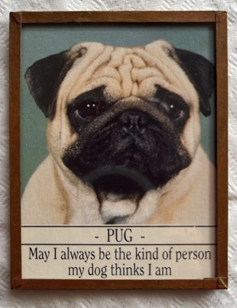 Vintage Pug Refrigerator Magnet-made In USA
