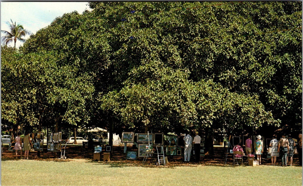 Vintage Lahaina Maui Hawaii Postcard – Art Exhibit Under Old Banyan Tree